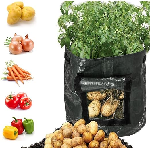 DesignerBox - Bolsas para cultivo de patata, para jardín, verduras ...