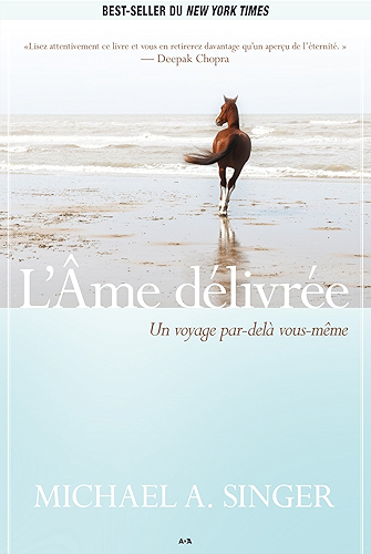 Download L’Âme délivrée: Un voyage par-delà vous-même PDF