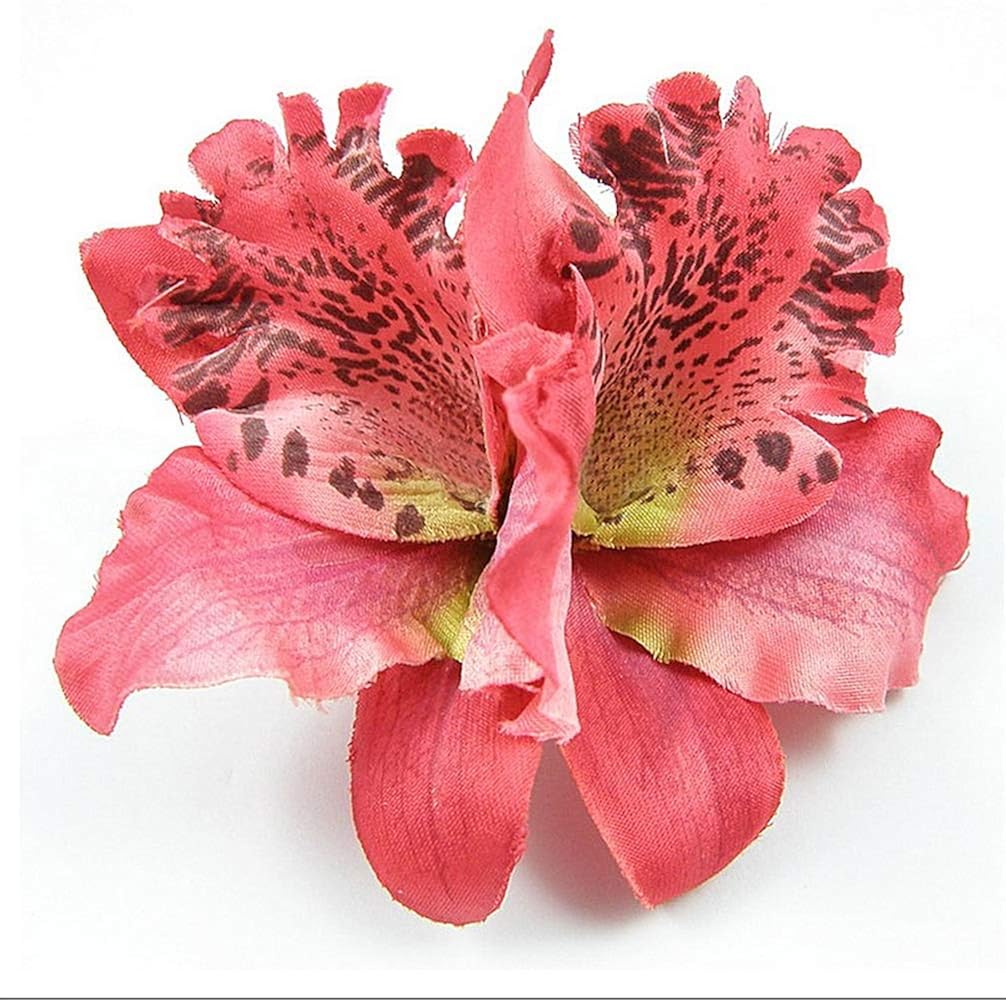 Rainbrace Flower Hair Clips Hawaiian Double Orchid Hair Barrette