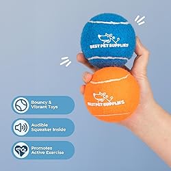 Best Pet Supplies Interactive Squeaky Dog Chew