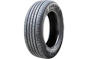 Evoluxx Capricorn HP All-Season Performance Radial Tire-205/60R16 205/60/16 205/60-16 92H Load Range SL 4-Ply BSW Black Side Wall