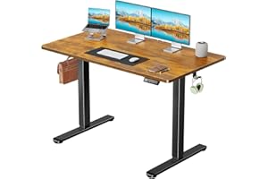 Marsail Electric Standing Desk with One-Piece Desktop,48 x 30 inch Height Adjustable Office Gaming Computer Desk with Deeper Tabletop,Home Office Stand up Desk with 4 Memory Presets, Desk for Bedroom