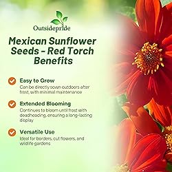Outsidepride Red Torch Mexican Sunflower Seeds