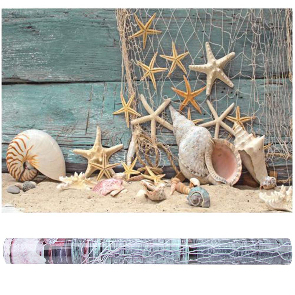 Seashell Starfish Aquarium Background