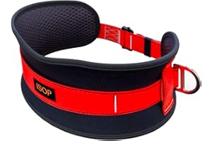 Safety Belt with 2 D-Rings - Fall Arrest & Body Positioning Protection