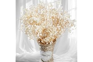BEERFINGO 2500+ Dried Babys Breath Flowers Bulk - 17" Ivory White Dried Flower Bouquet, Real Natural Gypsophila Branches for Vase Filler, Wedding, Table Centerpiece, Home Decor, DIY Wreath Floral, Crafts