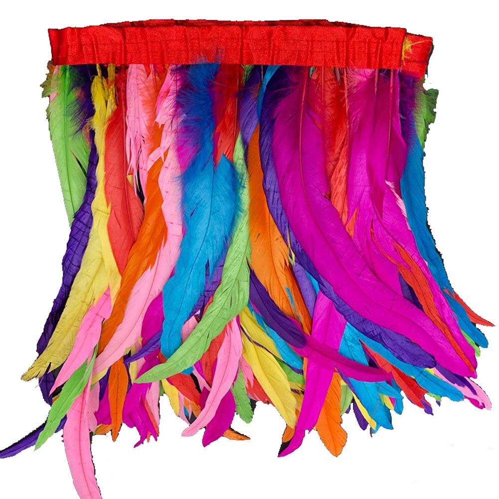 KOLIGHT Pack of 1M Natural Rooster Feather Fringe Trim 25-30CM in Width DIY Cosplay Decoration (Muti-Colorful)