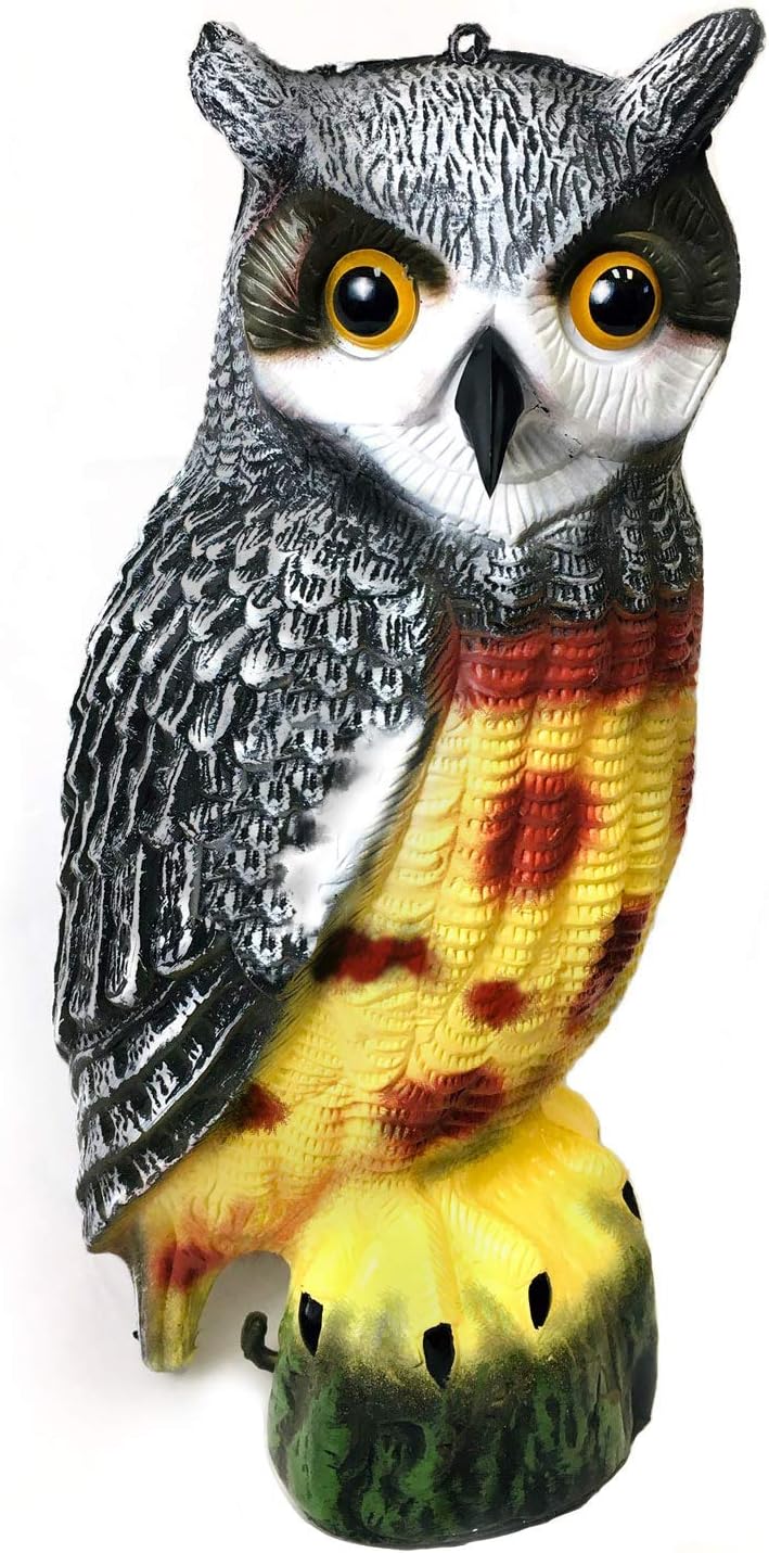 Best Garden Statues Owls