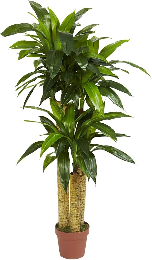 Amazon Com Artificial Tree 4 Foot Corn Stalk Dracaena Home