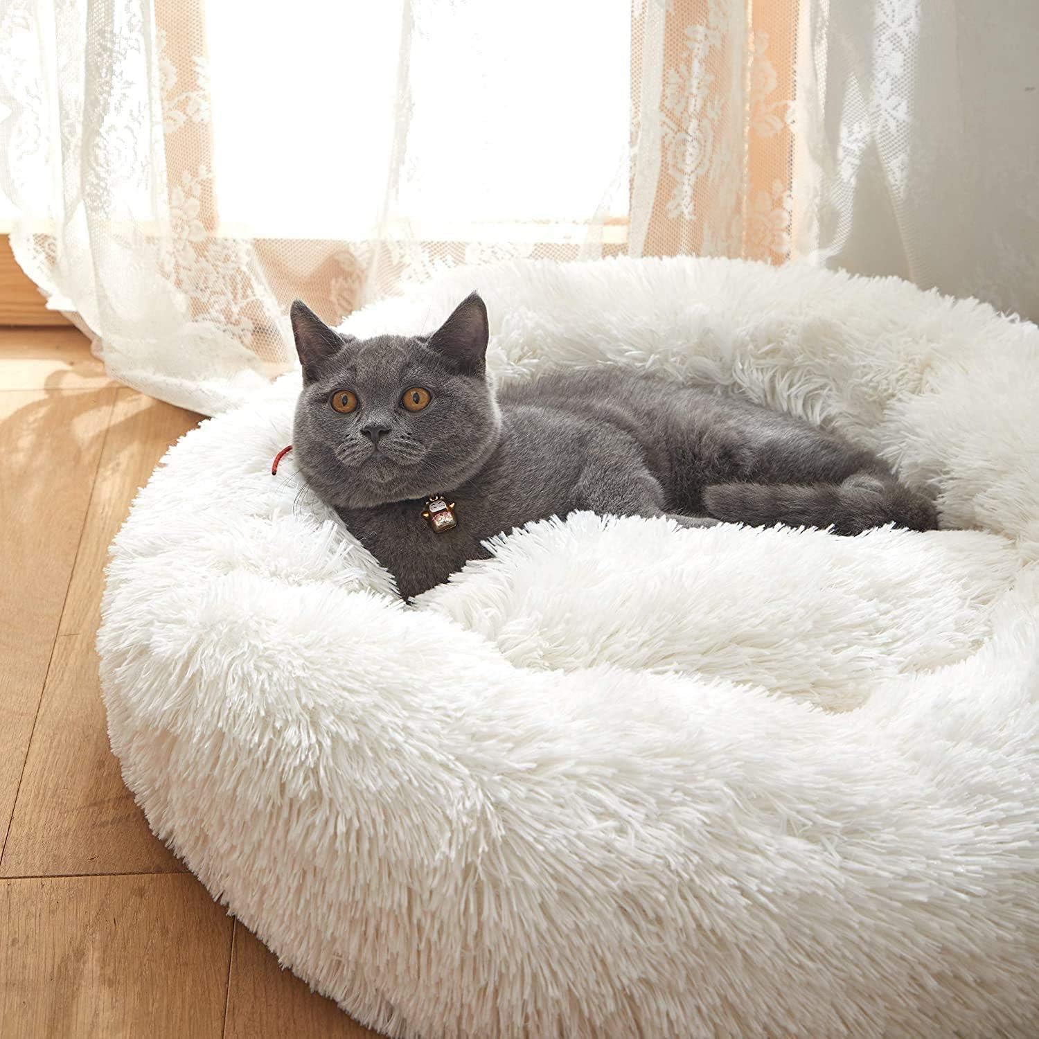 猫 ベッド ペットベッド 猫 クッション ふわふわ マット 洗える 四季通用 猫用 小型犬用 ペット用品 ミルキーホワイト Oyanten クッション マット マルチカバー 通販 Amazon