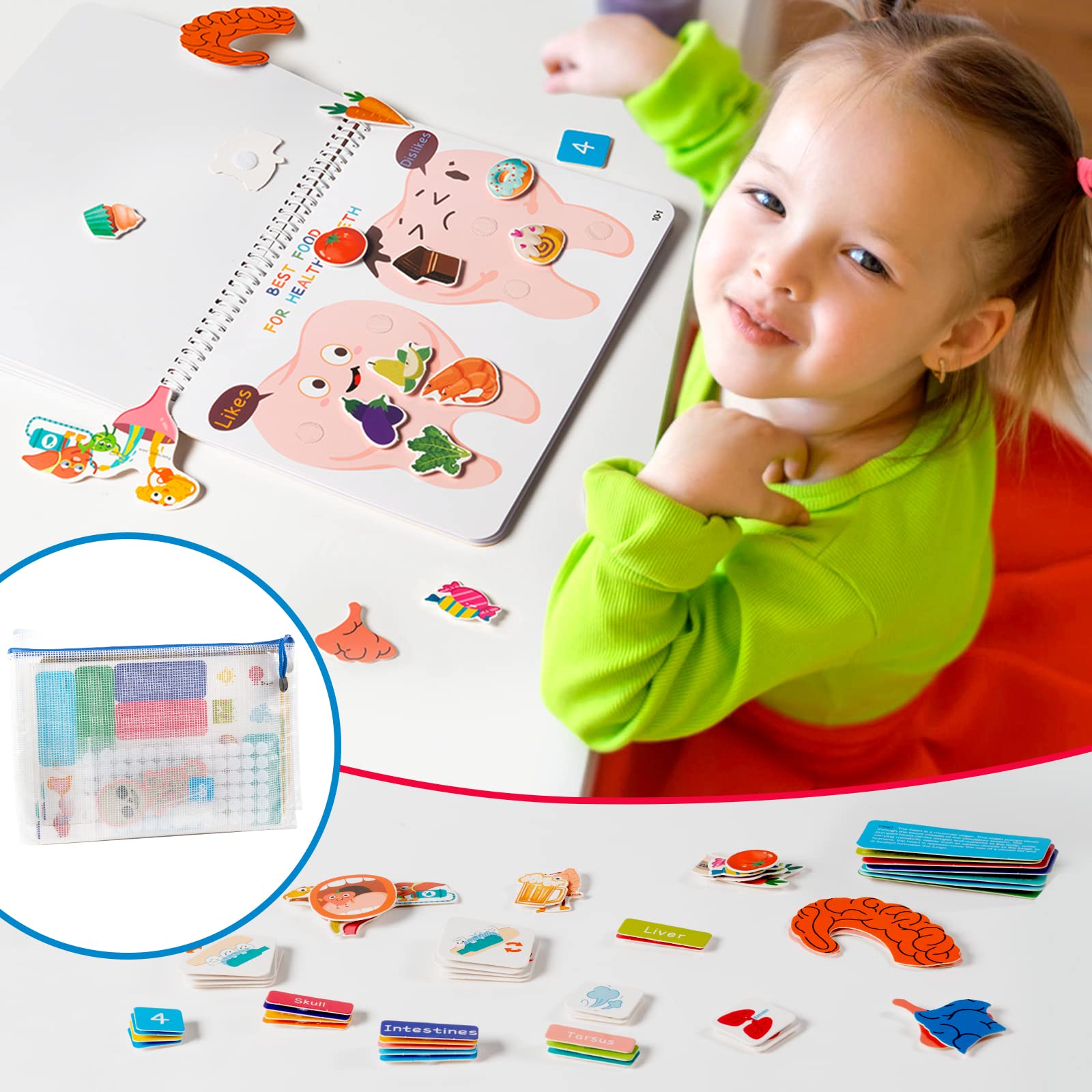 Mua Freebear Montessori Busy Book for Kids, Human Body Anatomy Book for ...