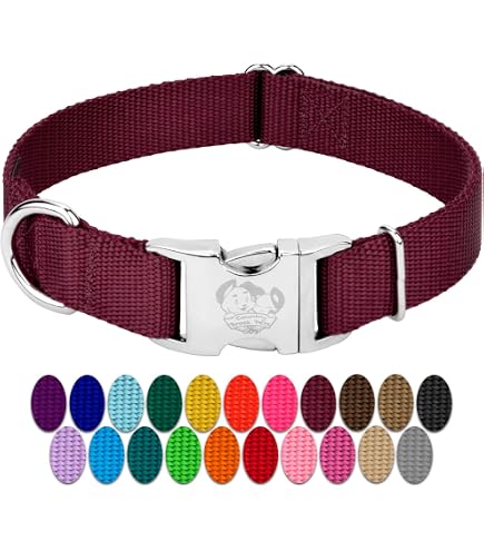 Amazon.com : Country Brook Petz - Premium Nylon Dog Collar with