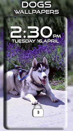 Amazon Com Dog Wallpaper Appstore For Android Images, Photos, Reviews