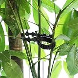 KINGLAKE 10Pcs 30cm Black Tree Straps Adjustable Interlock Garden Ties view 6