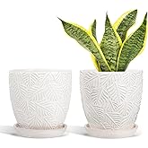 LITUDISO 6 Inch Ceramic Plant Pots, Indoor Plant Pots with Drainage Hole & Saucer, Flower Pots, Unique Crackle Glaze Design, White Glaze - Set of 2