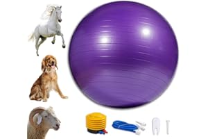 capuca Large Horse Balls for Play - 30inch Anti-Burst Mega Herding Ball Giant Horse Soccer Ball for Dogs Goats Horses to Play with Pump Included (Purple)