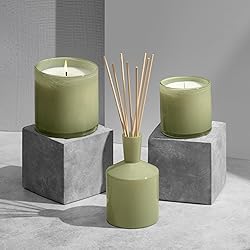 LAFCO New York Classic Reed Diffuser, Wild