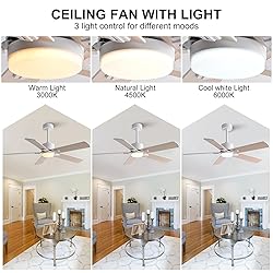 KENSID 48 Inch Ceiling Fans with Lights and