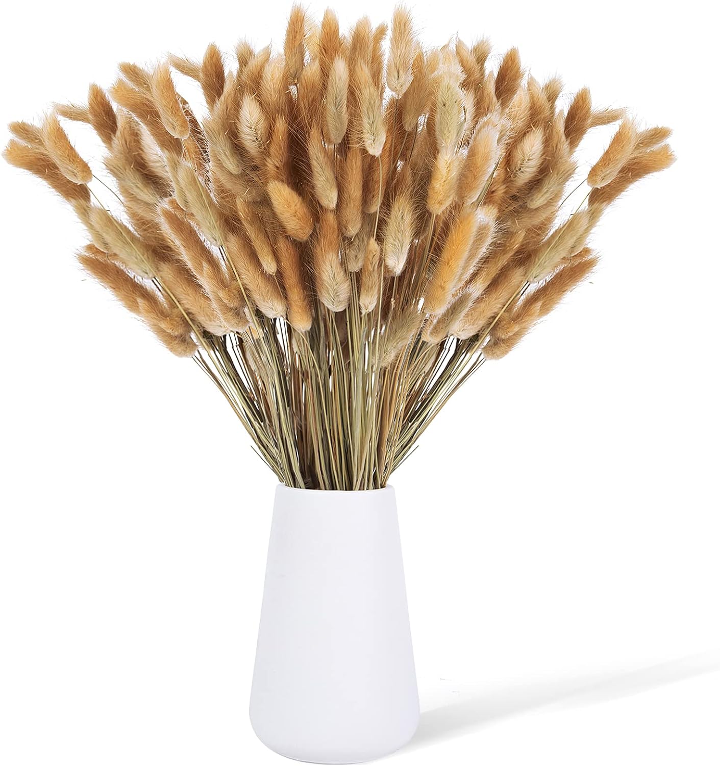 Dried & Preserved Flora - JOHOUSE 120PCS Dried Bunny Tail Grass, 16inch Dried Pampas Grass Natural Dried Lagurus ovatus for Boho Home Wedding Decor Dried Flowers Arrangements, Primary Color