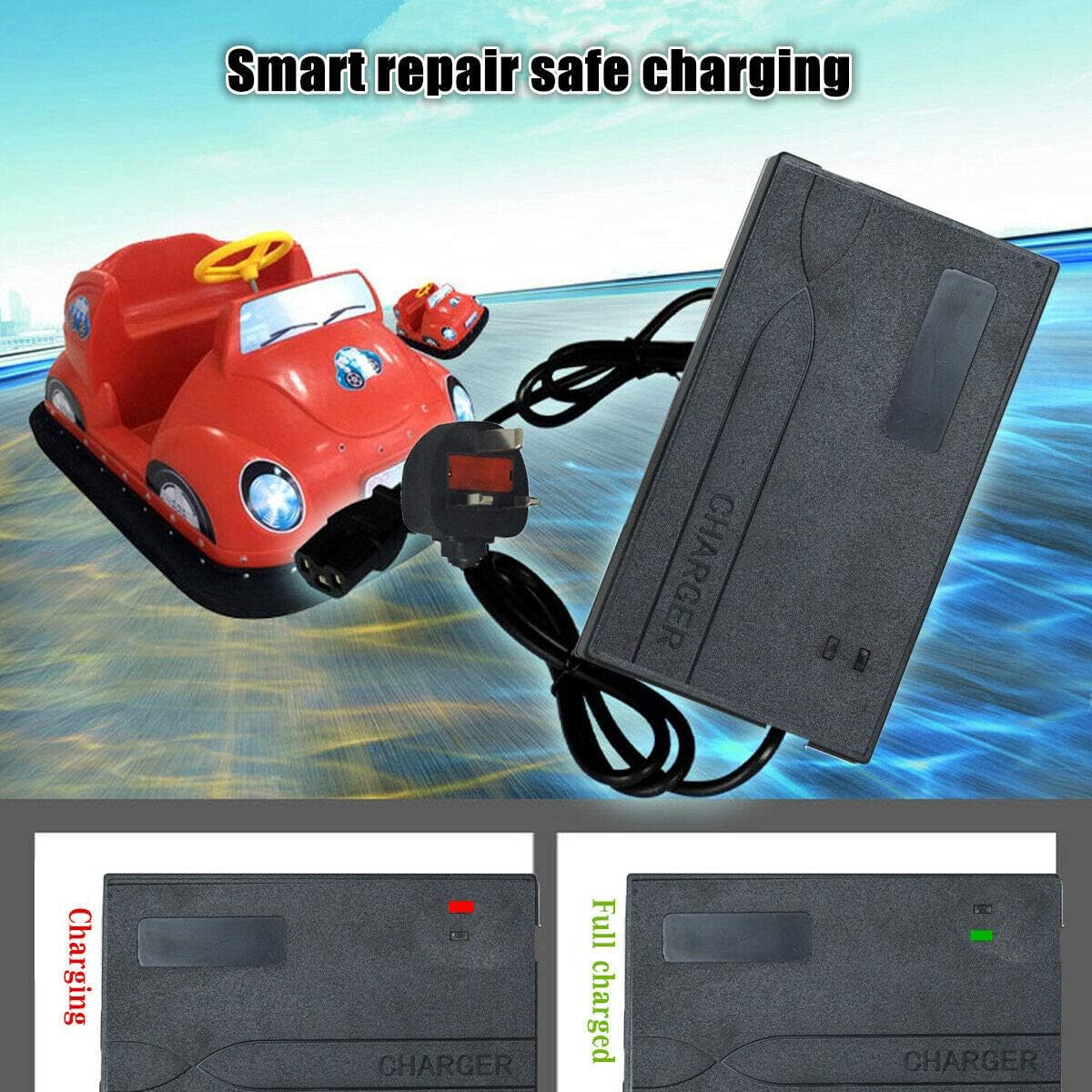 Riloer Car Battery Charger, Motorcycle Trickle Charger, 24v 2A 3A Battery Charger - Image 4