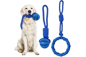 CANINE CANYON Dog Chew Toys 2 Pack, Dog Toys for Teeth Cleaning, Teething Rubber Ring & Ball with Cotton Rope Dog Toys to Keep Them Busy with Tug of War, Fetching, for Puppies, Small & Medium Dogs