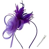 AMCAMI Fascinators Hats with Feather for Women 2026 Derby Hats Small Tea Party Hat with Headband