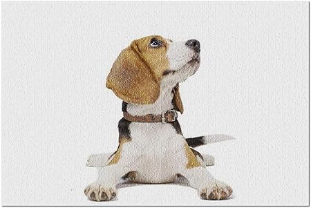 Amazon Co Jp 白い背景のhdかわいいビーグル犬 大人のためのプレミアム500ピースジグソーパズル 52x38cm おもちゃ