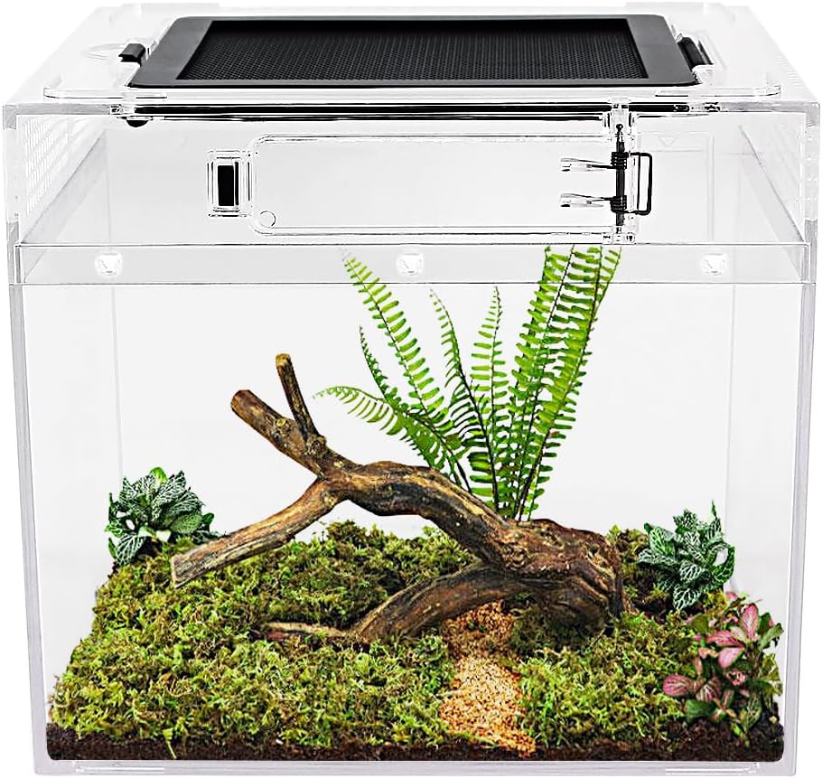Reptile Growth 8x8x7 Mini PC Vivarium with Top Sliding Door Ventilation