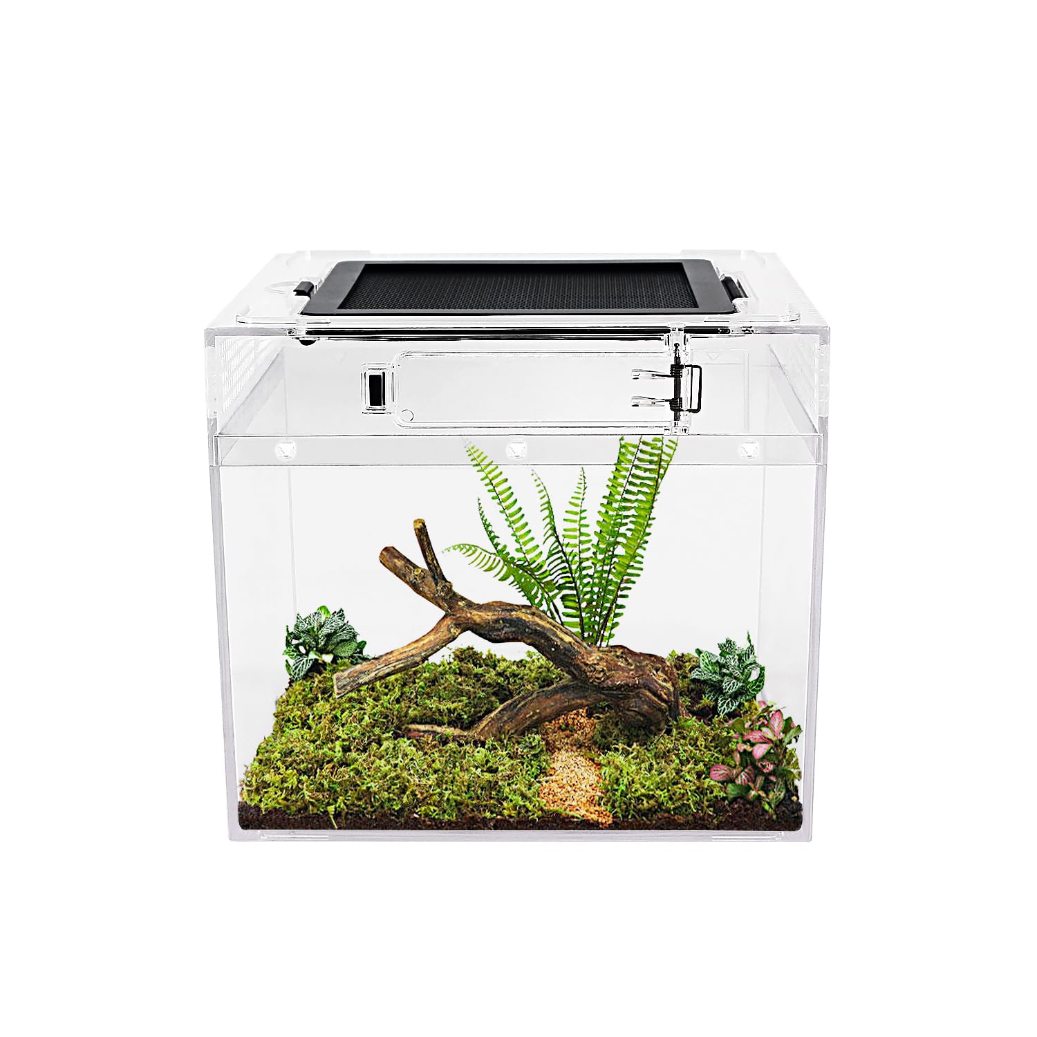 Reptile Growth Mini reptile tank（PC）,8" x 8"x 7" vivarium with Top Sliding Door Screen Ventilation for Small Fish,Insect,Snail,Gecko，Tarantula,Bearded Dragon,Jumping Spider,Stick Insect