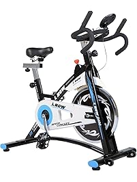 L NOW Indoor Cycling Bike Smooth Belt Driven (Model D600)