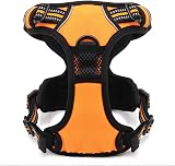 Truelove TLH5651 Dog Harness No-Pull Reflective Stitching Orange Large view 4