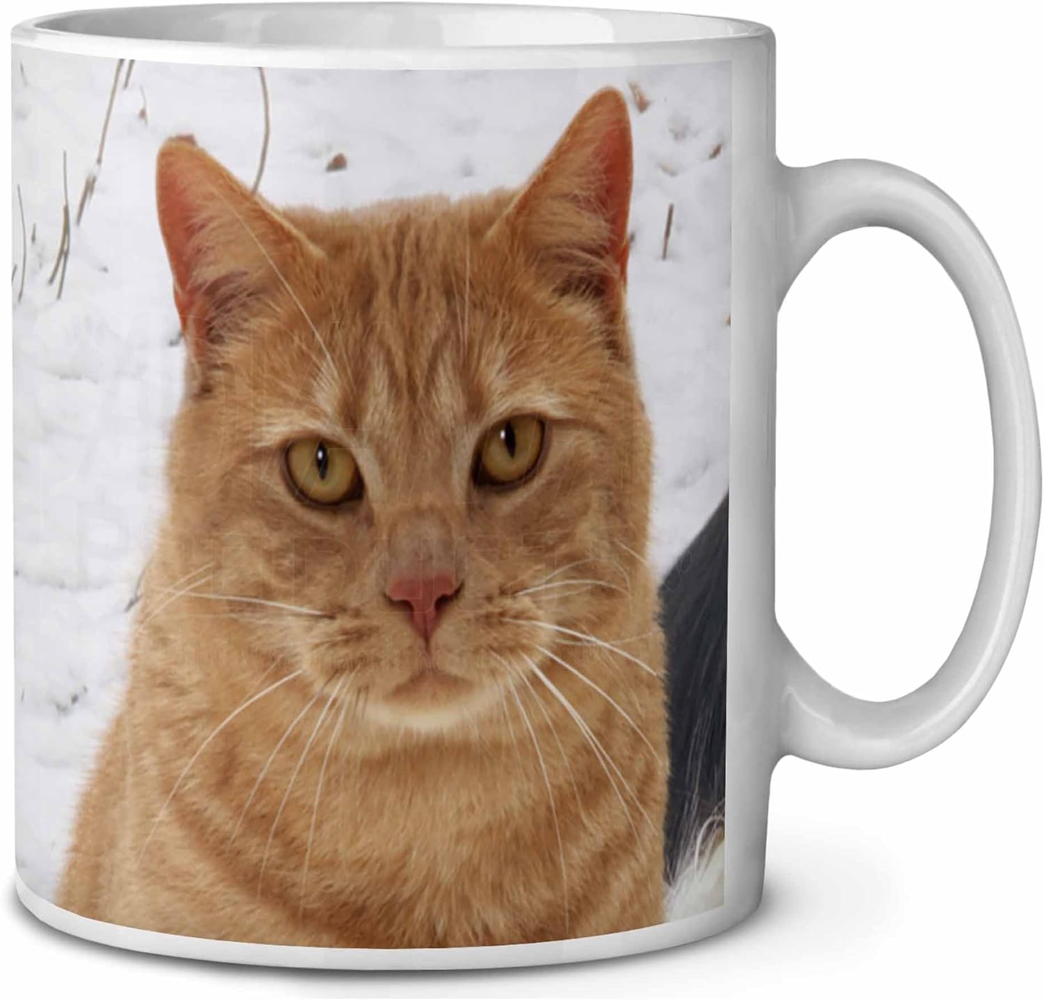Pretty Ginger Cat Coffee/Tea Mug Christmas Stocking Filler Gift Idea Amazon.co.uk Kitchen & Home