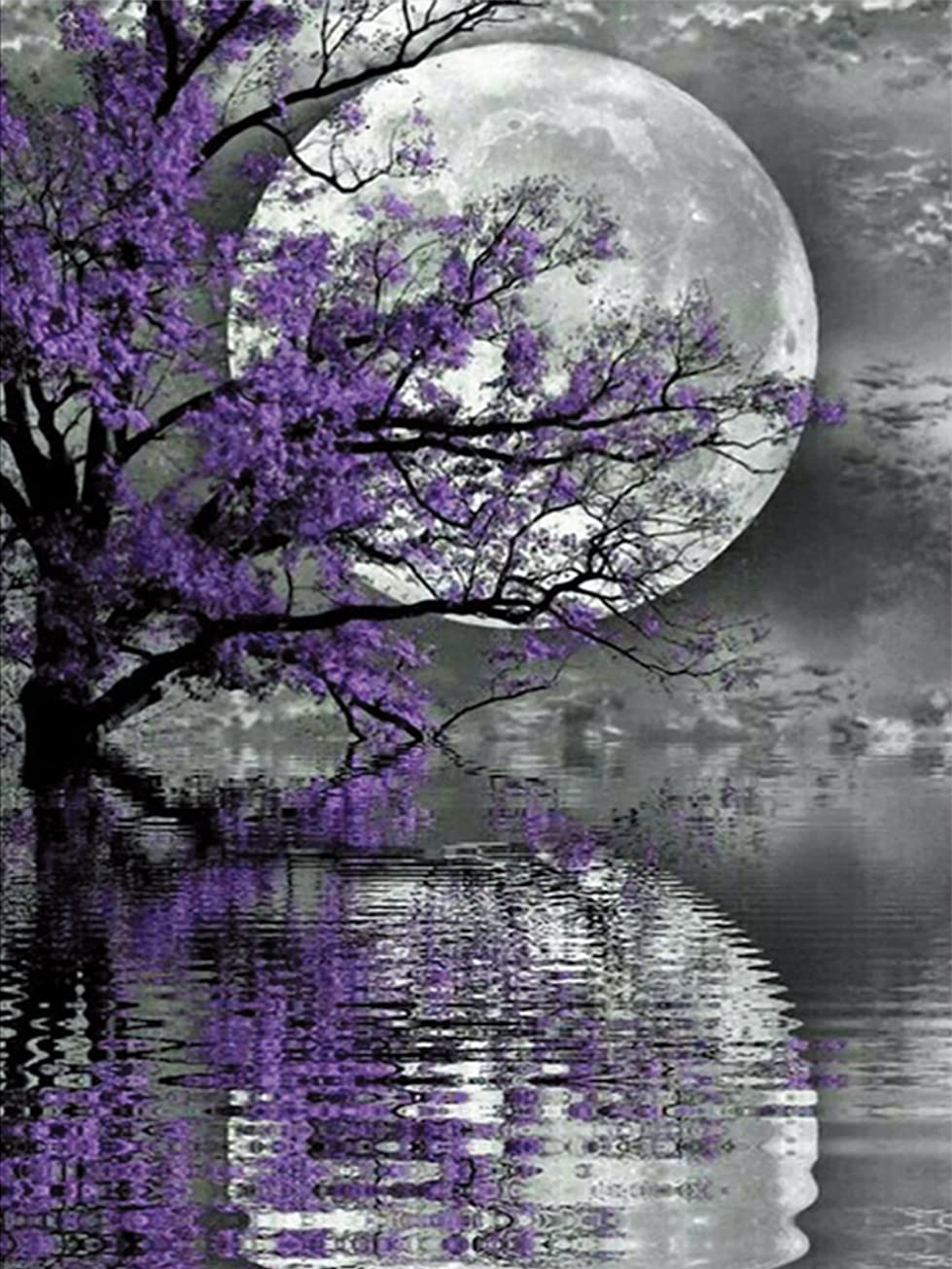 Cross Stitch Kits Stamped, OWN4B Moon Night Tree Printed Pattern 11CT 14.2x18.1 inch DIY Embroidery Kit (Tree)