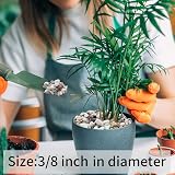 FANTIAN 2 lbs Mixed Color Gravel 6-9mm for Aquarium Succulent Pots view 9