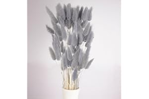 BEEXEED 120pcs Gray Bunny Tail Pampas Grass Dried Flowers for Vase Boho Flowers Dried Babys Breath Wedding Decor Dry Flowers for Vase (Gray 120 PCS)