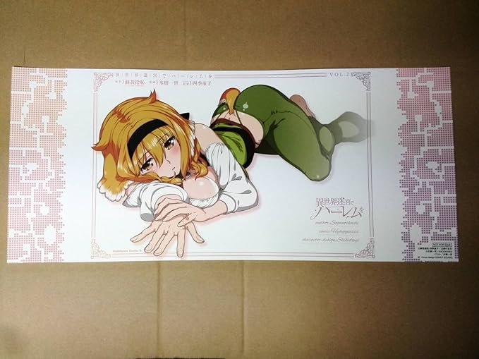 Amazon Co Jp 特典 ブックカバー 異世界迷宮でハーレムを ロクサーヌ 氷樹一世 ２巻 メロンブックス特典 描き下ろし ホビー 通販