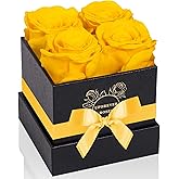 UFOREVER ROSES 4-Piece Preserved Roses in a Box, Preserved Flowers, Roses Gift for Her, Yellow