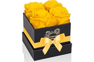 UFOREVER ROSES 4-Piece Preserved Roses in a Box, Preserved Flowers, Roses Gift for Her, Yellow