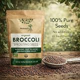 Natures Root Organic Broccoli Sprouting Seeds 250g Non GMO Microgreen view 6