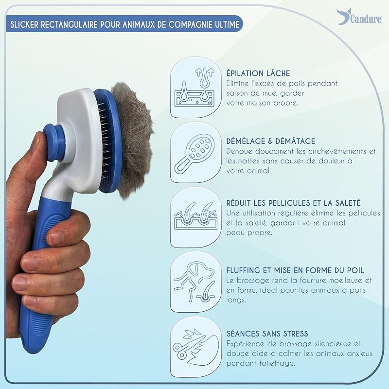 Brosse de toilettage professionnelle pour chien et chat, brosse pour animaux de compagnie, pour poils longs et courts, picots en acier inoxydable, élimine les poils morts (Bleu Ciel)