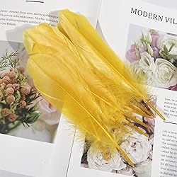 Lampu Natural Goose Feathers 15-20cm/6-8 inches