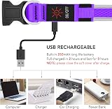 YFbrite Illuminated LED Dog Collar Purple Medium USB Rechargeable Safety Light view 4