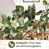 Baby Bio Houseplant Bug Killer Ultra 1 Litre – Fast-Acting Insect Control view 6