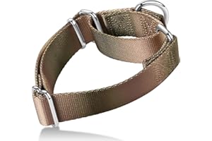 Axdvk Martingale Dog Collar Colorful Gradient Fashionable - Anti-Escape Soft Durable Pets Collar for Walking Training Outdoor Daily Use -Large, Khaki Gradient