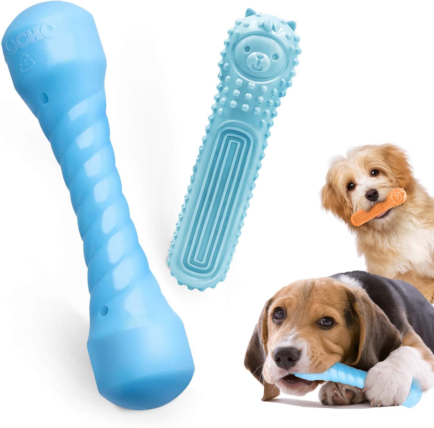 puppy teething aggression