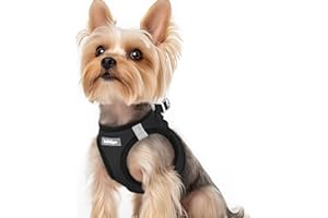 rabbitgoo Dog Harness Small Breed, Step-in Soft Mesh Puppy Vest with Safety Buckle, Breathable Reflective No Pull Pet Harness