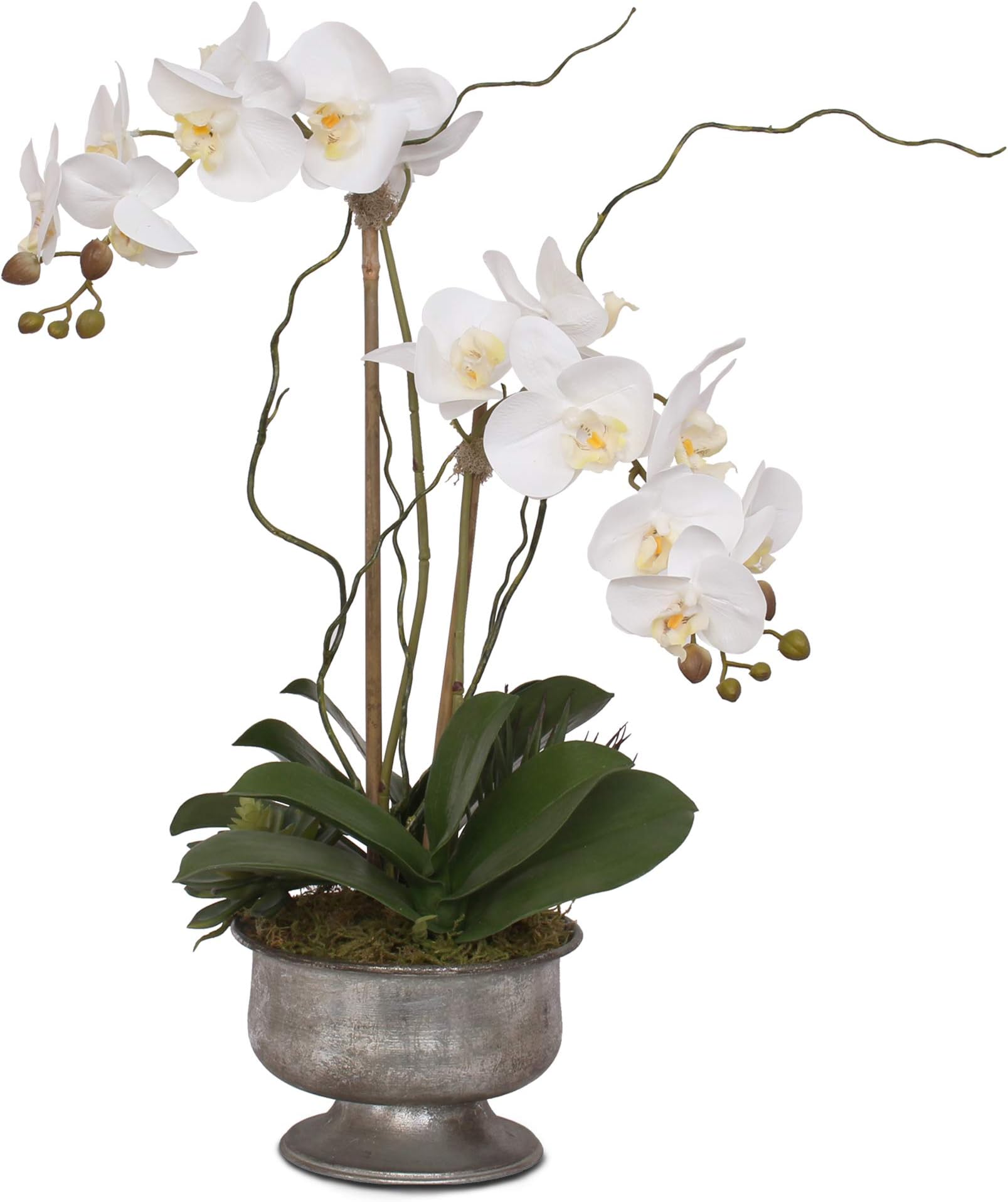Jenny Silks Real Touch White Orchids with Succulent in Silver Aged Metal Pot