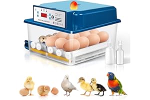 NORJIN Egg Incubator, 16 Eggs Incubator for Hatching Eggs, Digital Incubator with Automatic Egg Turning and Egg Candler for Hatching Chickens Birds Quail Ducks Eggs