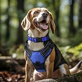 Joytale Reflective Dog Collar XLarge Navy Nylon Neoprene Padded Adjustable view 2