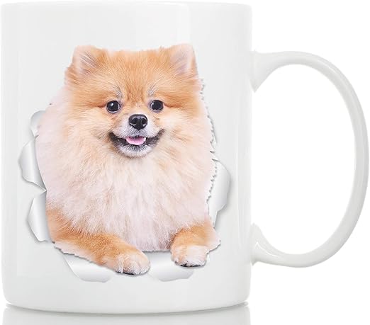 cup pomeranian